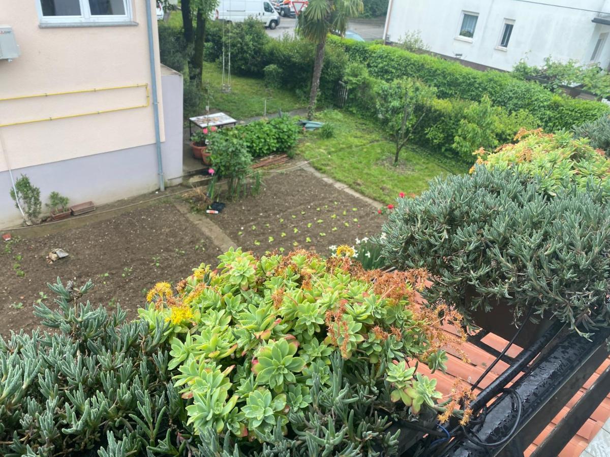 Apartma Magnolija Nova Gorica