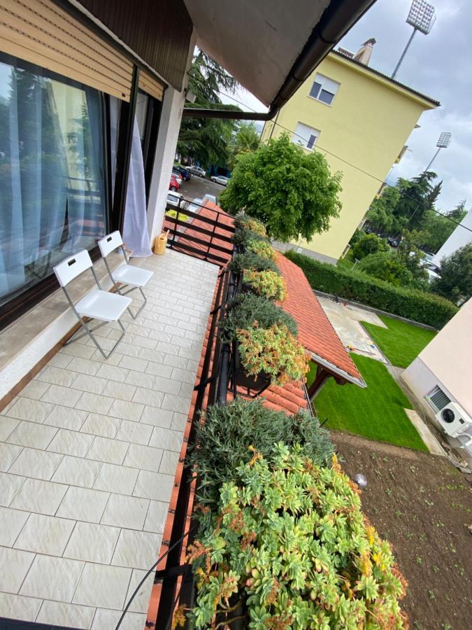 Apartma Magnolija *
